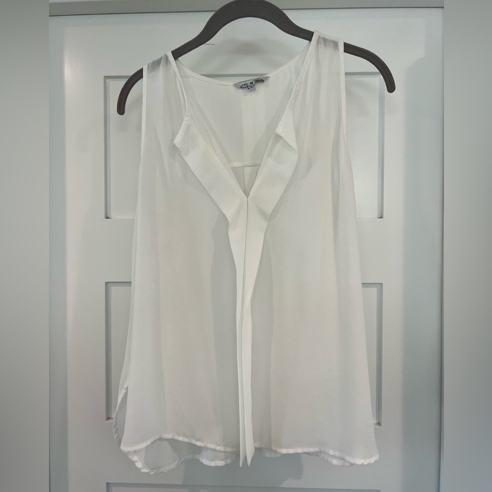 Sheer Naked Zebra Top